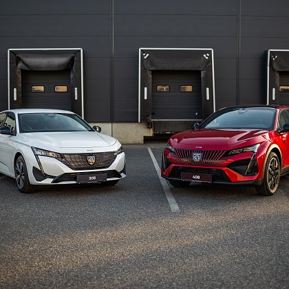 Vozidla (firemní flotily)